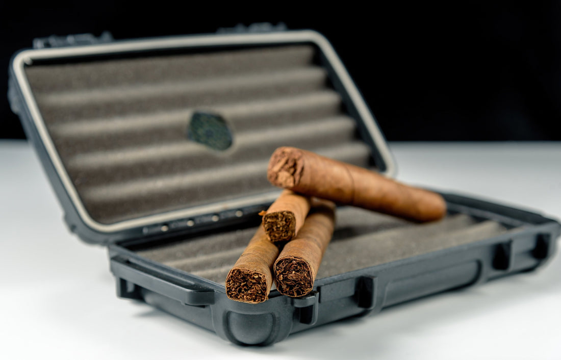The 10 Best Cigars for Beginners: Smooth & Approachable First-Time Smokes