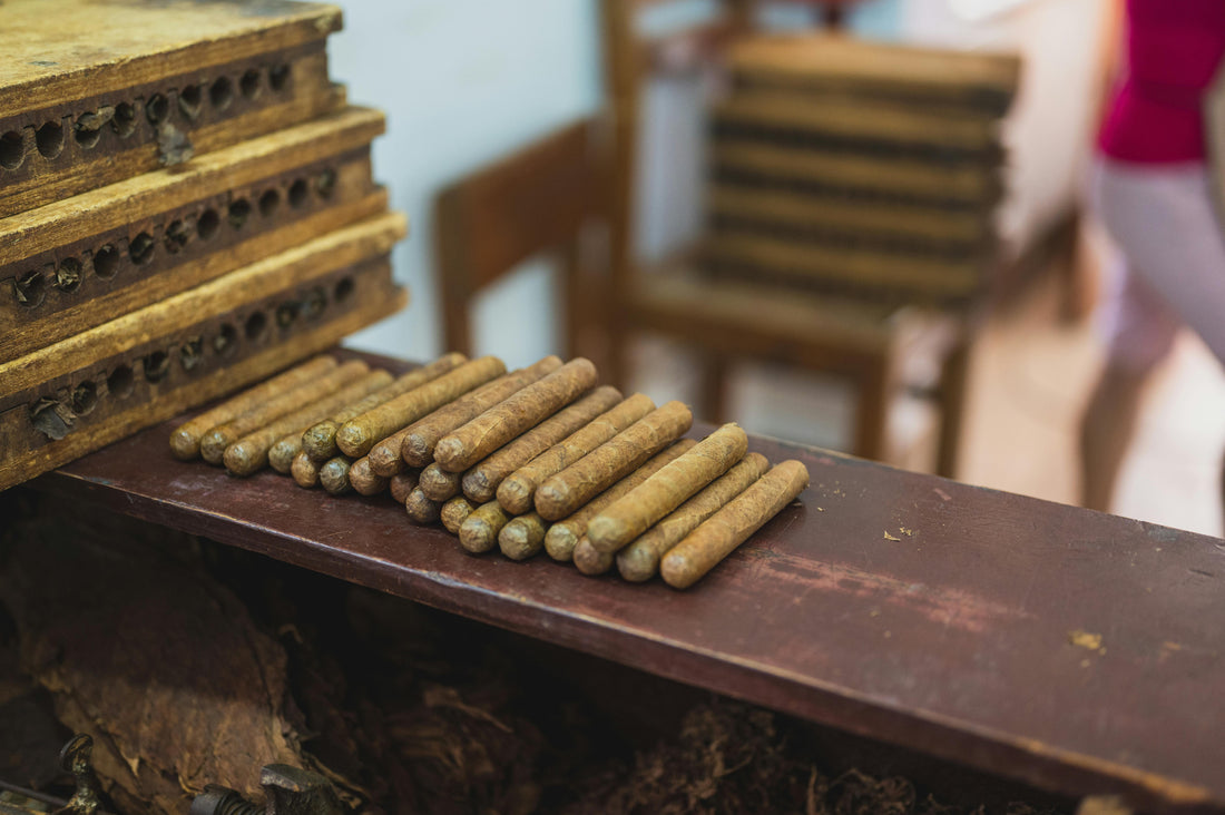 15 Surprising Cigar Facts and Trivia Every Smoker Should Know