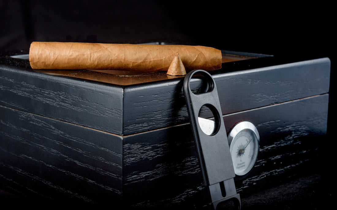 The Ultimate Cigar Humidor Buying Guide (2026 Edition)