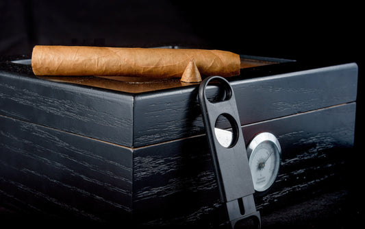 The Ultimate Cigar Humidor Buying Guide (2026 Edition)