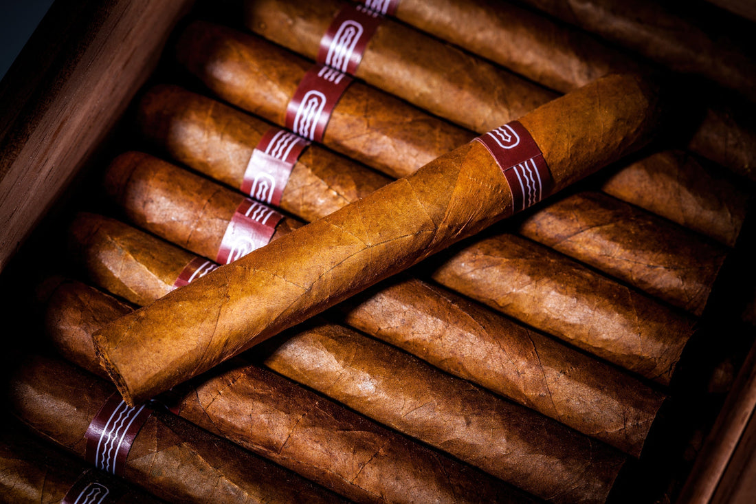 How to Cut a Cigar Without a Cutter: 6 Genius Ways to Salvage Your Smoke