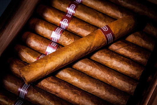How to Cut a Cigar Without a Cutter: 6 Genius Ways to Salvage Your Smoke