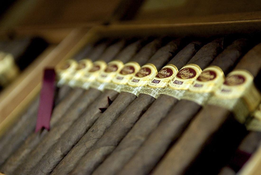 What Is a Fuma Cigar? The Meaning of Fuma and Its History