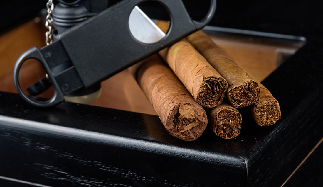 Glass Top Humidors: Why Modern Construction Trumps Old Myths