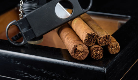 Glass Top Humidors: Why Modern Construction Trumps Old Myths