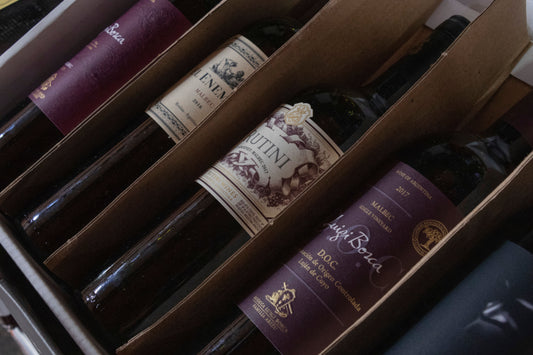 How to Store Wine at Home: Temperature, Humidity, and Refrigerator Rules
