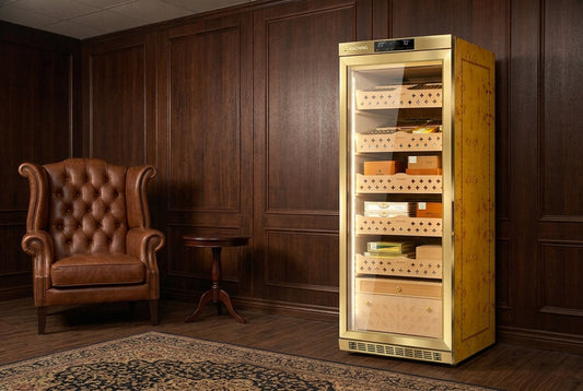 The Ultimate Raching Electric Humidor Buyer’s Guide: MON-Series, C-Series, & Dark Matter Series