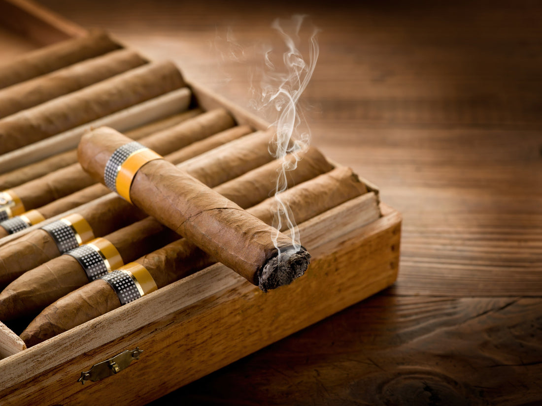 The Science of Spanish Cedar: Why It Is the Gold Standard for Humidors