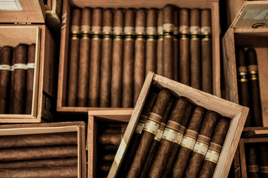 What Is a Humidor Cabinet? All You Need To Know