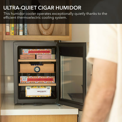 Whynter CHC-123DS Cooler Humidor - 250 Cigars